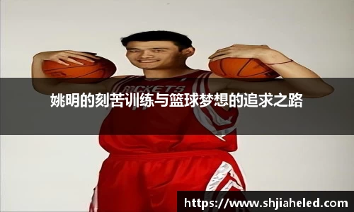 OB视讯官方网站