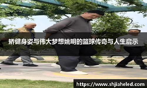OB视讯平台
